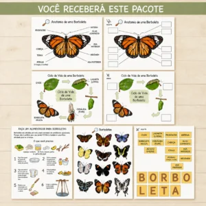 Unidade de Estudo das Borboletas